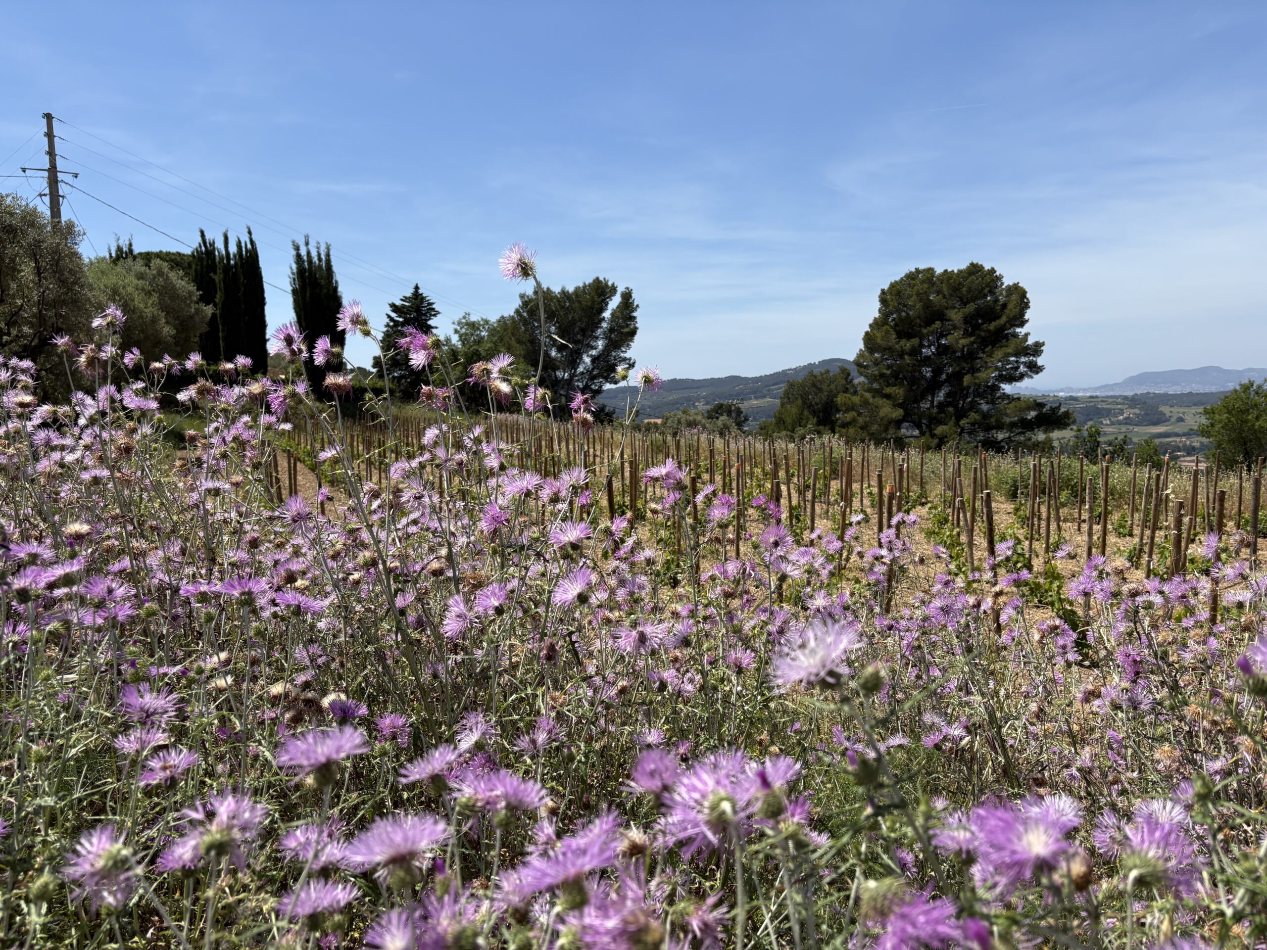Le Beausset Ensemble mouvement citoyen