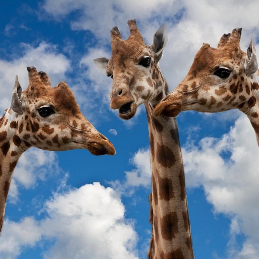 Débats et rencontres